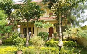 Hotel Rainforest